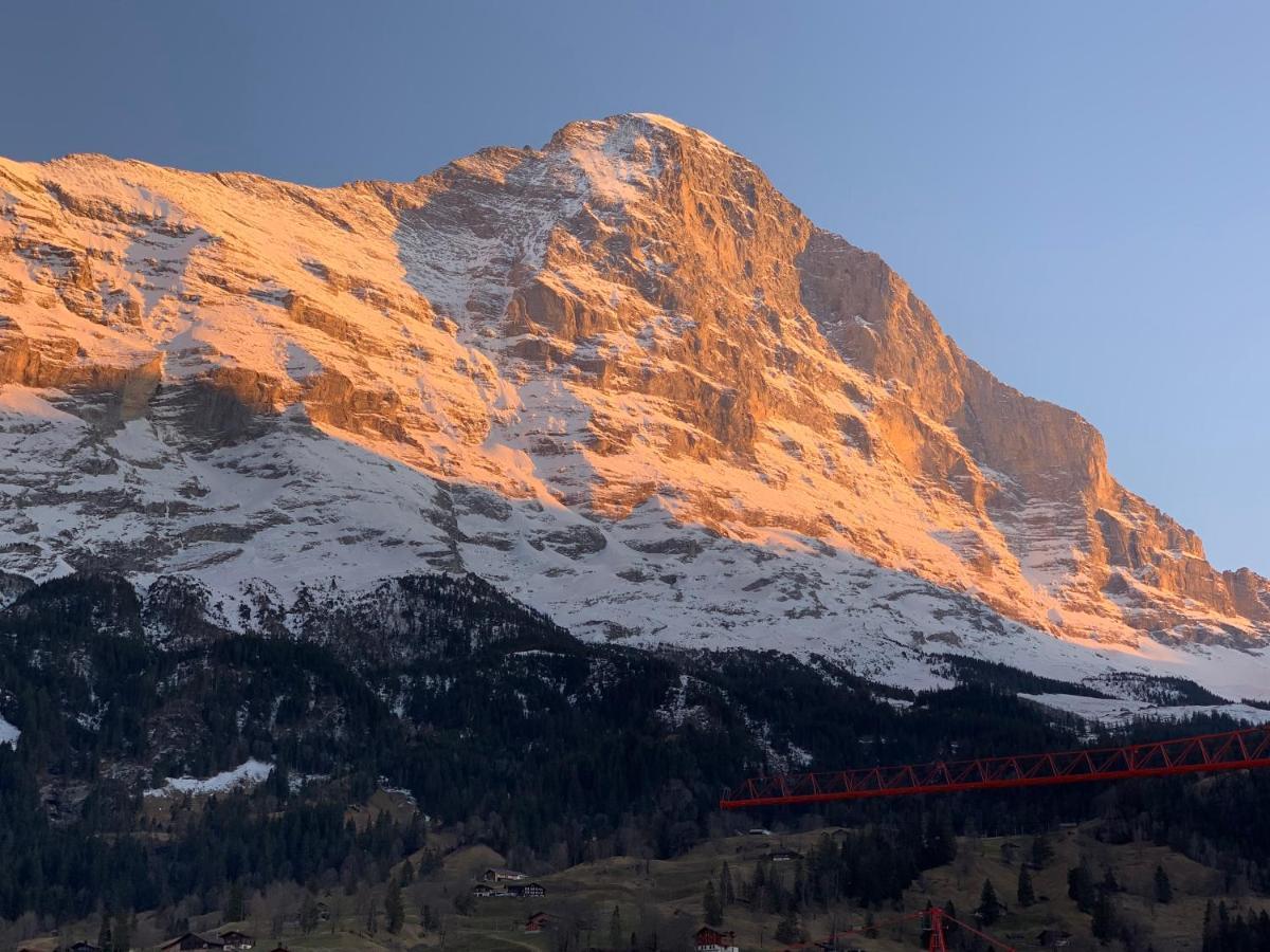 Fluehblueemli Apartment Grindelwald Exterior foto