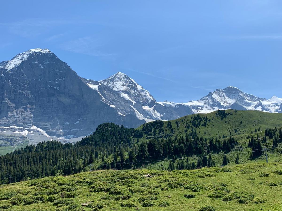 Fluehblueemli Apartment Grindelwald Exterior foto