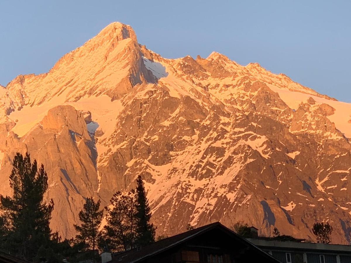 Fluehblueemli Apartment Grindelwald Exterior foto
